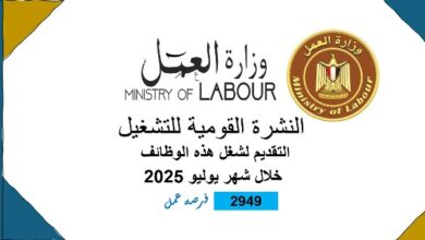 2949 فُرصة عمل للشباب في 10 محافظات.. تفاصيل