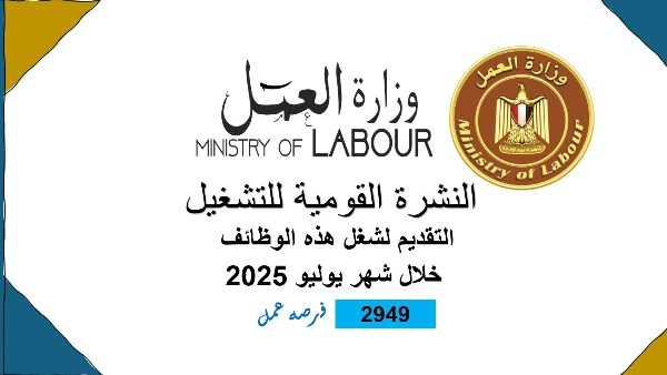 2949 فُرصة عمل للشباب في 10 محافظات.. تفاصيل