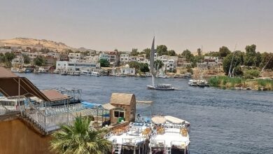 أسوان في 24 ساعة| تقلبات بالطقس.. تشميع المحلات المخالفة.. وانتظام حركة السياحة