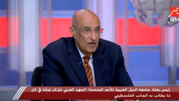 الجهد العربي المجمع حقق نتائج إيجابية لصالح القضية الفلسطينية