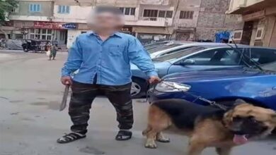 الحبس 5 سنوات عقوبة ترويع المواطنين باستخدام حيوان طبقا للقانون