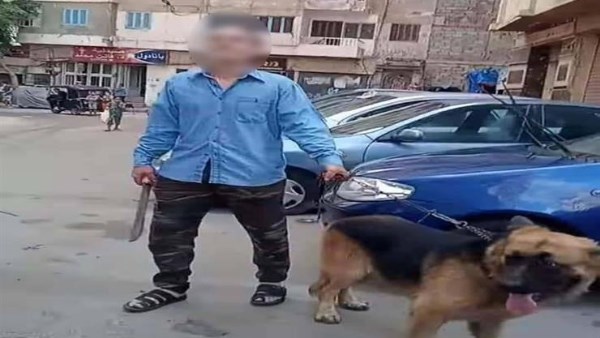 الحبس 5 سنوات عقوبة ترويع المواطنين باستخدام حيوان طبقا للقانون