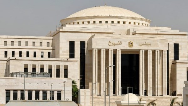 القائمة الوطنية لانتخابات مجلس الشيوخ تعكس تنوع المجتمع المصري وتعزز الوحدة الوطنية
