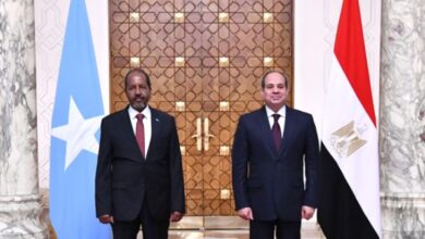 الرئيس السيسي يبحث مع حسن شيخ مشاركة مصر العسكرية لدعم الأمن في الصومال