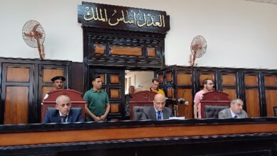 المشدد 6 سنوات لـ ربة منزل تتاجر في مادة " الشابو " المخدر بأسيوط