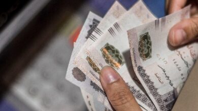 الوزارة تعمل بشكل جاد على دعم العمالة غير المنتظمة
