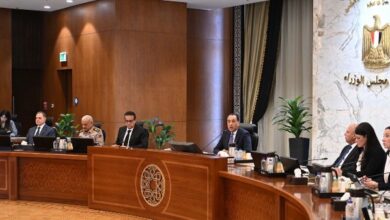 الوزراء يوافق علي إقامة 15 مشروع للنفع العام
