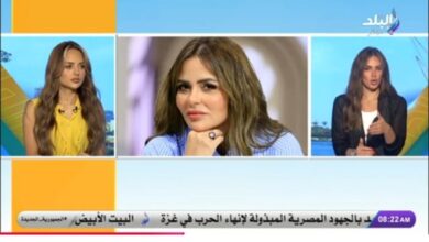 تفاصيل واقعة اتهام مها الصغير بسرقة لوحة فنية لرسامة دنماركية