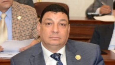 توجيهات الرئيس جعلت مصر قبلة للاستثمارات الصناعية العالمية