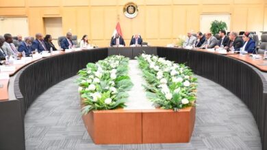 توجيهات رئاسية بزيادة التعاون مع الدول الإفريقية وعلى رأسها الكونغو