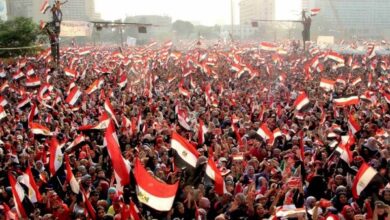ثورة 30 يونيو أنهت مشروع الإسلام السياسي فى الإقليم