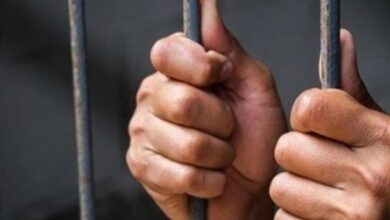 حبس وغرامة.. احذر عقوبات التلاعب بالعلامات التجارية