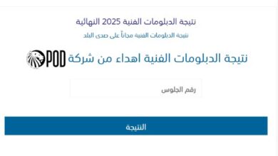 رابط نتيجة الدبلومات الفنية برقم الجلوس 2025 على صدى البلد ..لينك مجاني