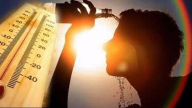 شبورة مائية كثيفة.. الأرصاد تحذر من درجات الحرارة المرتفعة.
