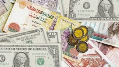 "صباح البلد" يرصد أسعار صرف العملات مقابل الجنيه