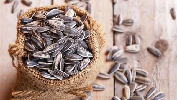 فوائد وأضرار تناول اللب بأنواعه لصحة الجسم.. احذر المملح