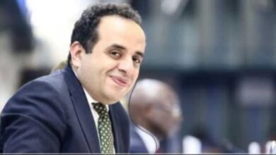 فوزنا برئاسة الفاو تتويج لمجهود بدلوماسي مصري كبير