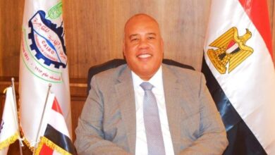قمة البريكس تفتح آفاقًا أوسع أمام القطاع الخاص