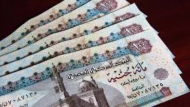 القضاء الإداري تُلزم نقابة المحامين بصرف الزيادة السنوية لمستحقي المعاش