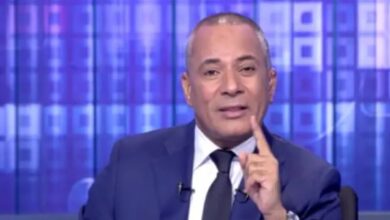 كل إخواني إرهابي.. واللي يعادي مصر مصيره جاي