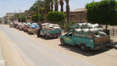 محافظ بني سويف :مع استمرار أعمال توريد القمح بالصوامع والشُون الحكومية