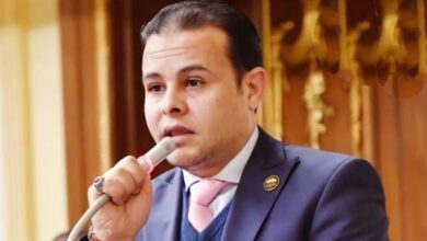 مشاركة مصر في قمة "بريكس" تعكس ثقة المجتمع الدولي في رؤية القيادة السياسية