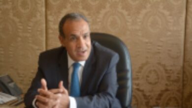 مصر ستواصل اتصالاتها وبذل الجهود لتحقيق الأمن والاستقرار فى الإقليم