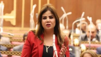 مصر كانت على حافة الهاوية.. وخطاب 3 يوليو أنقذ الدولة من الانزلاق