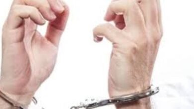 مهندسة تدهس 4 أشخاص أمام مول شهير في القاهرة الجديدة