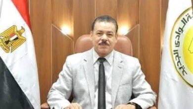 وزير التعليم العالي يُكلف رئيس الوادي الجديد بتولي رئاسة الجامعة الأهلية