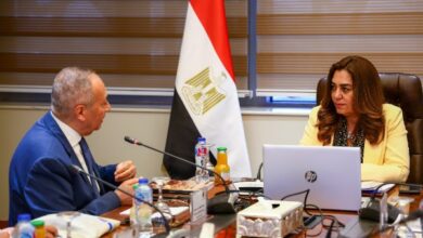 وزيرة التنمية المحلية تتابع الخطة الاستراتيجية لتغير المناخ الخاصة بالوزارة